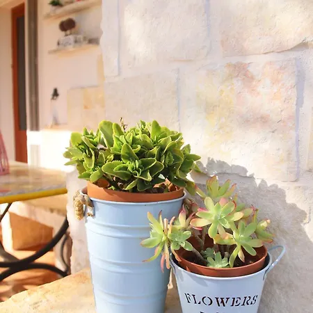 Lanterna * Конверсано