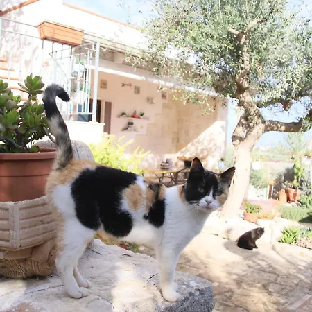 Villa Lanterna Conversano